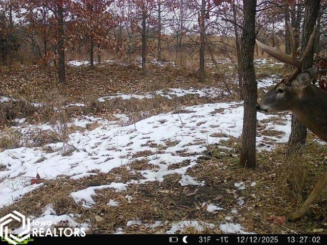 Land for sale in Ringgold, Iowa