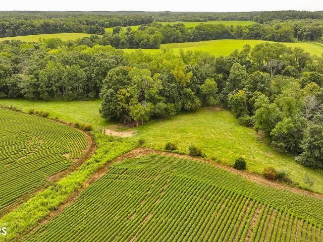 Farm for sale in Farmington, Iowa