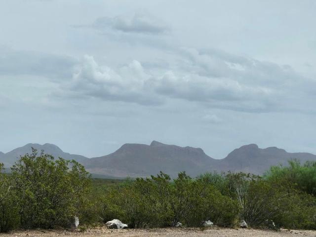 Land for sale in Douglas