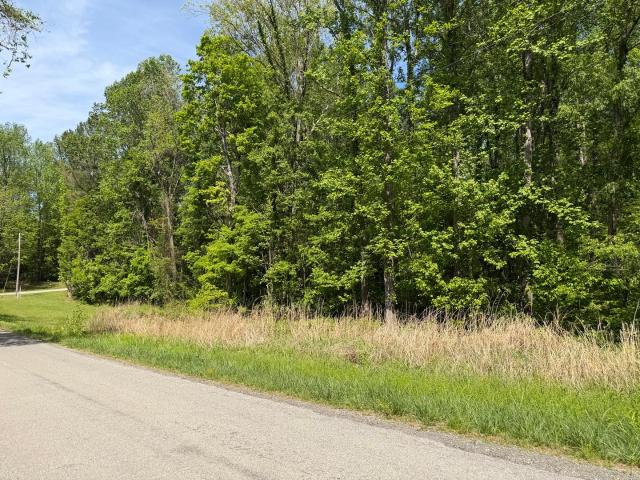 Land for sale in Elizabethtown, Illinois