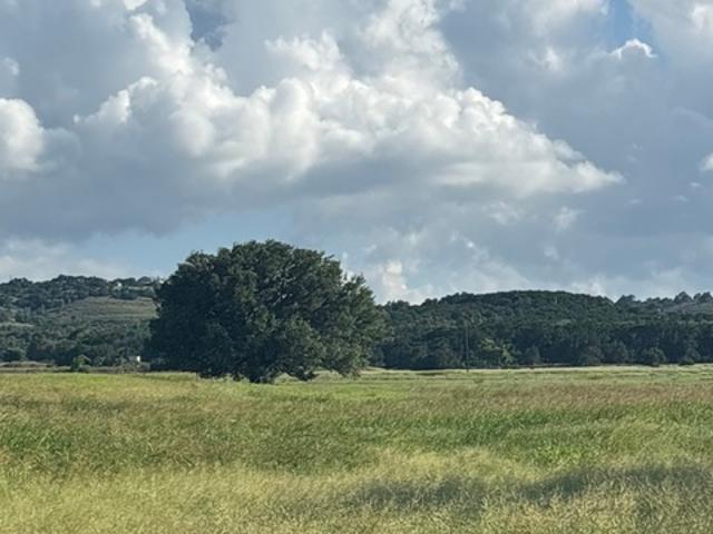 Land for sale in Blanco, Texas