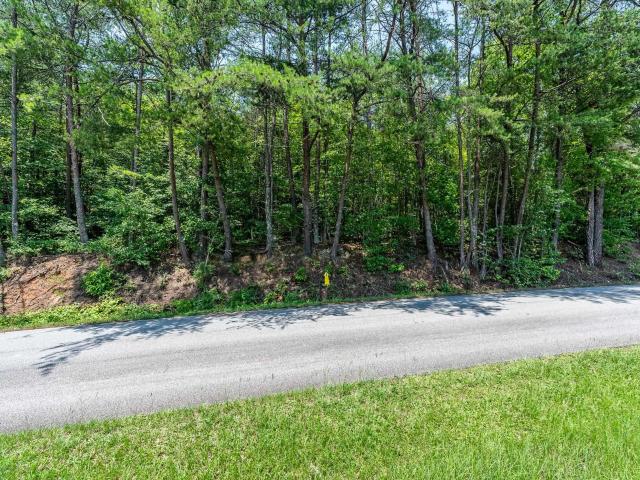 Land for sale in Travelers Rest, South Carolina