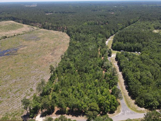 Land for sale in Smoaks, Colleton County