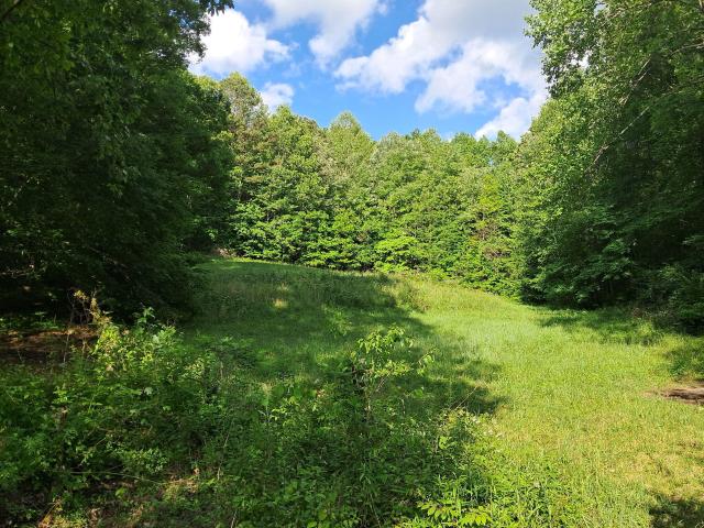Land for sale in London