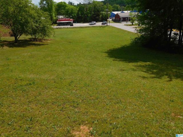 Land for sale in Springville, Alabama