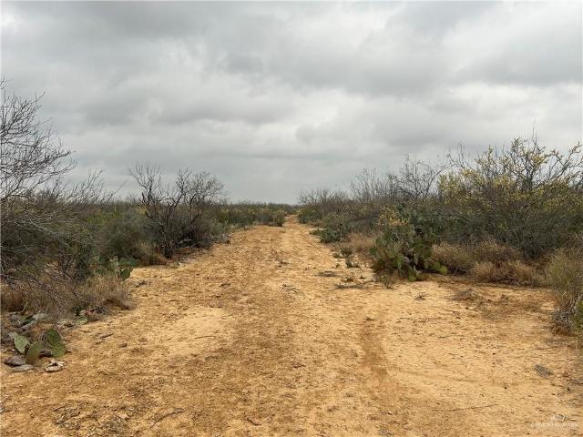 Land for sale in San Ygnacio, Zapata County