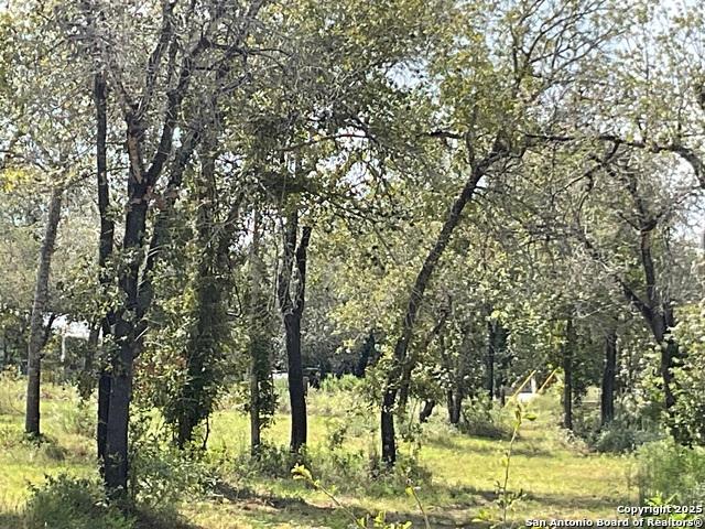Land for sale in Medina, Texas