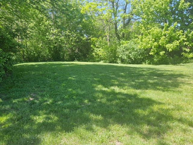 Land for sale in Buckner, Illinois