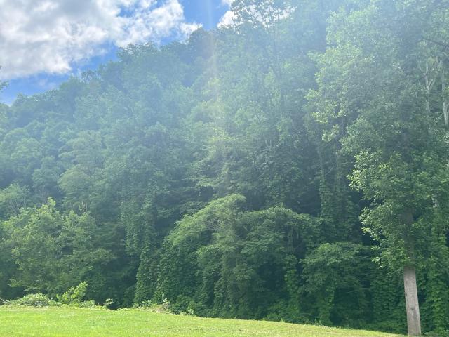 Farm for sale in Harlan, Kentucky