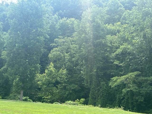 Land for sale in Harlan, Kentucky