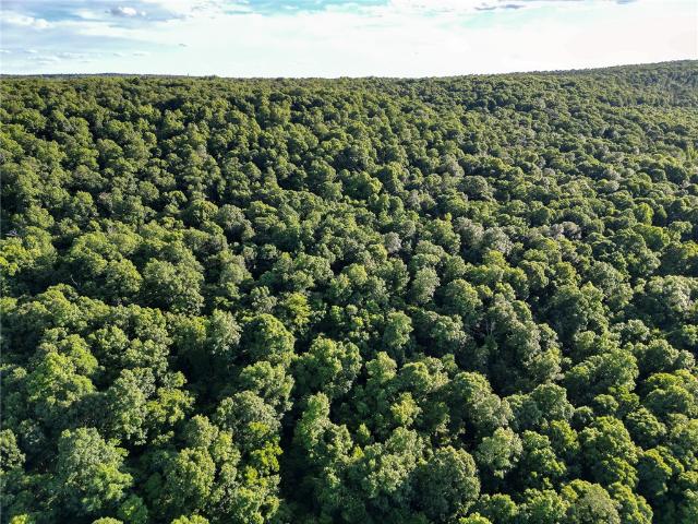 Land for sale in Ark