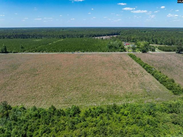 Land for sale in Hemingway, South Carolina