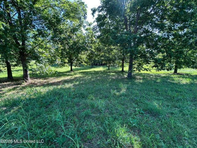 Land for sale in Summit, Mississippi