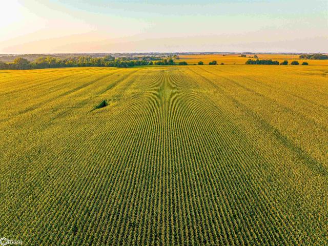 Land for sale in Webster City, Iowa