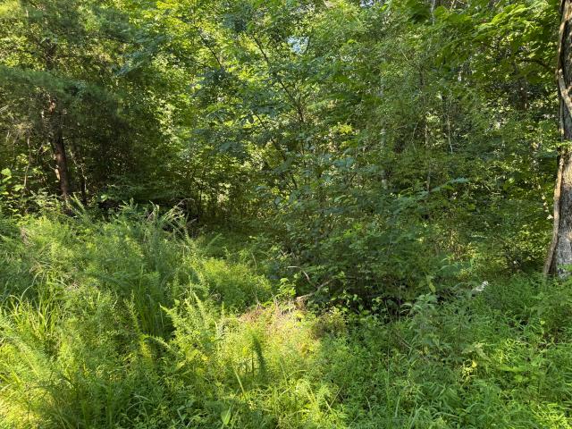 Land for sale in Columbia, Kentucky