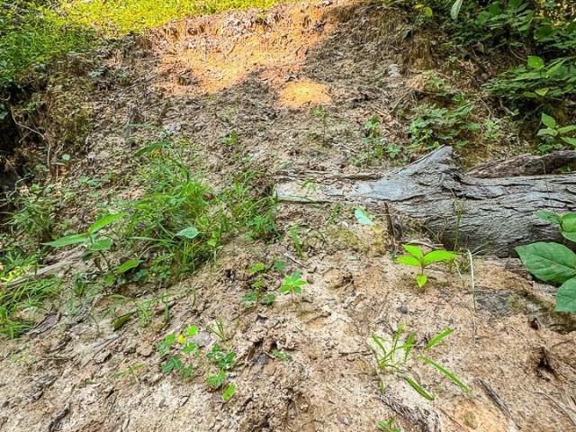 Land for sale in Fort Madison, Iowa