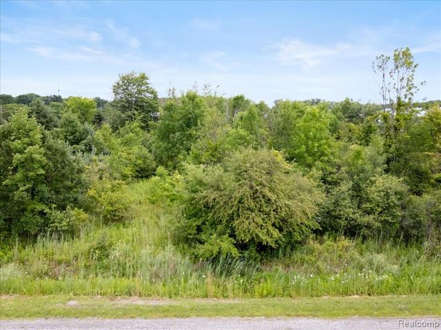 Land for sale in Port Huron, Saint Clair County