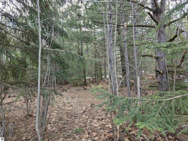 Land for sale in Mancelona, Michigan