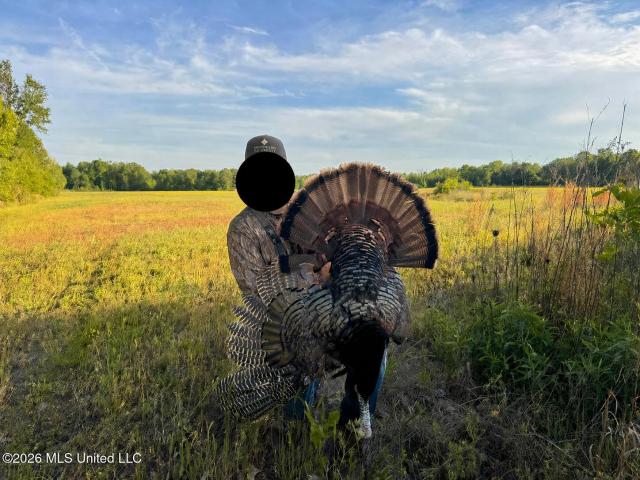 Land for sale in Tiplersville, Mississippi