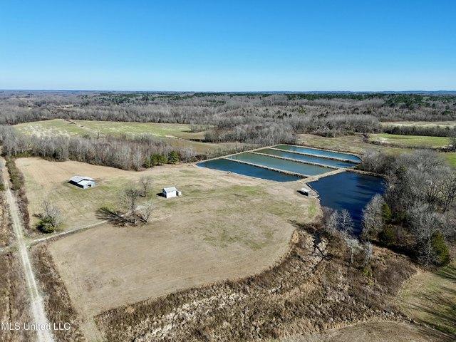 Land for sale in Tiplersville, Mississippi
