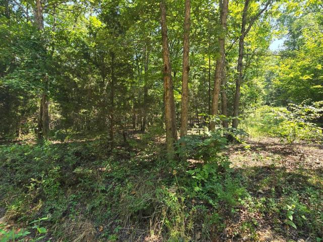 Land for sale in Shannon, Missouri