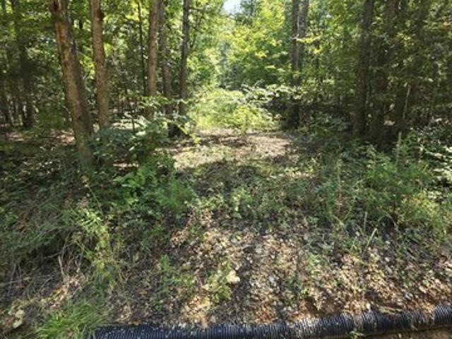Land for sale in Shannon, Missouri