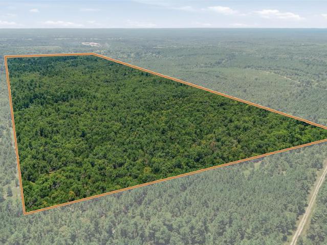 Land for sale in Rattan, Oklahoma