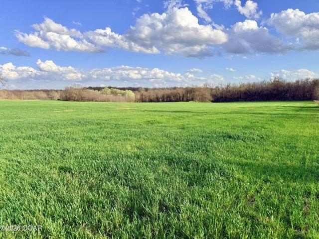 Land for sale in Everton, Missouri