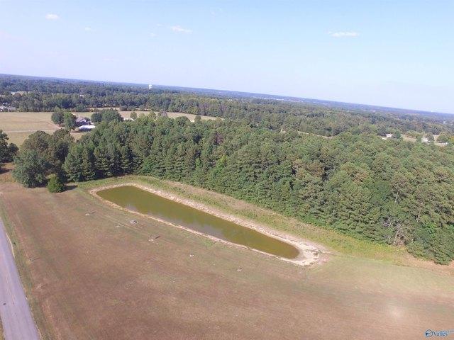 Land for sale in Elkmont, Alabama