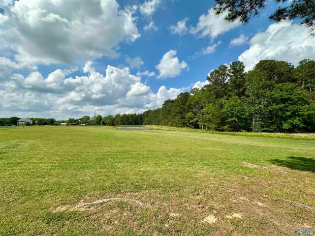 Land for sale in Elkmont, Alabama