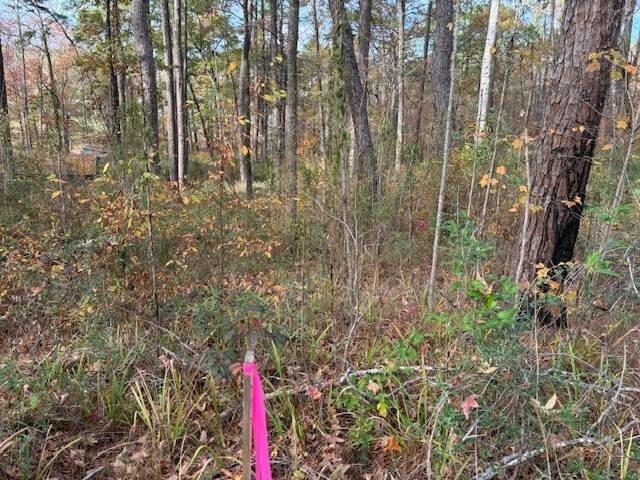 Land for sale in Many