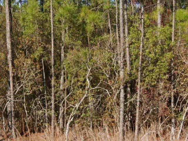 Land for sale in Biloxi, Mississippi