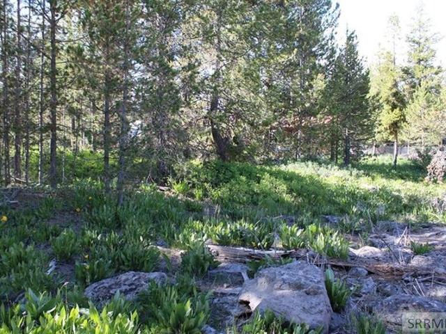 Land for sale in Island Park, Idaho