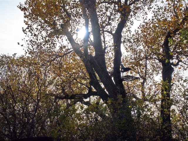 Land for sale in Piedmont, Oklahoma