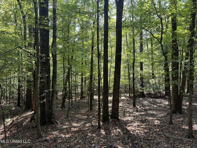 Land for sale in Yazoo City, Yazoo County