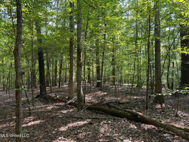 Land for sale in Mississippi