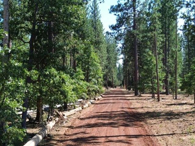 Land for sale in Shasta, California