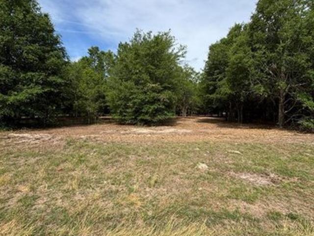 Land for sale in Dixie, Florida