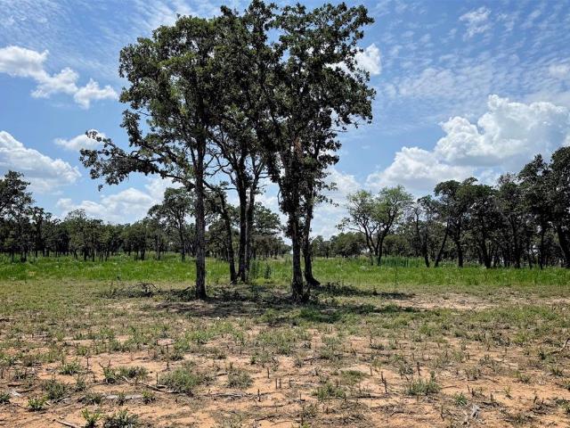 Land for sale in Battiest, Oklahoma