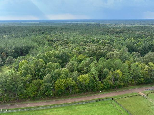 Land for sale in Canton, Madison County