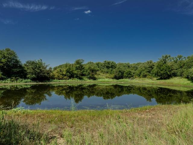 Land for sale in Clay, Texas