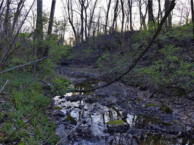 Land for sale in Dearborn, Missouri
