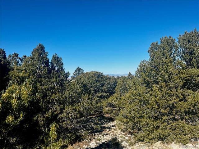 Land for sale in Mosca