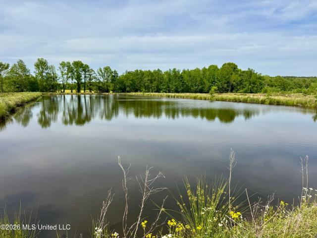 Land for sale in Tiplersville, Mississippi