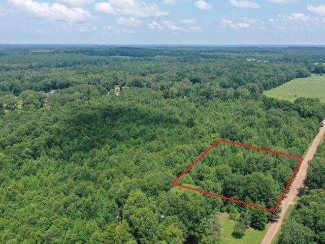 Land for sale in Queen City, Texas