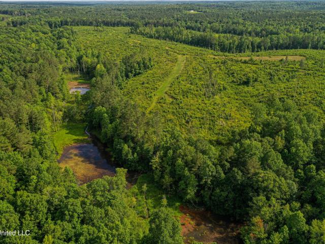 Land for sale in Pontotoc, Mississippi