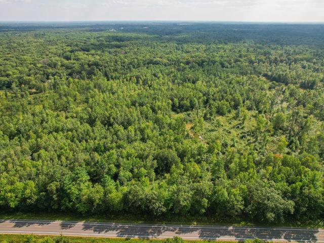 Land for sale in Babcock, Town of Remington