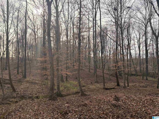 Land for sale in West Blocton, Alabama