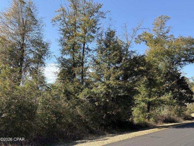 Land for sale in Marianna, Florida