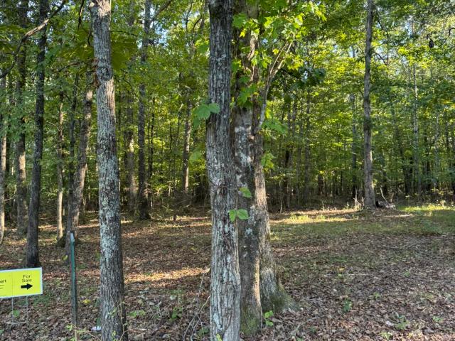 Land for sale in Decatur, Russell Springs